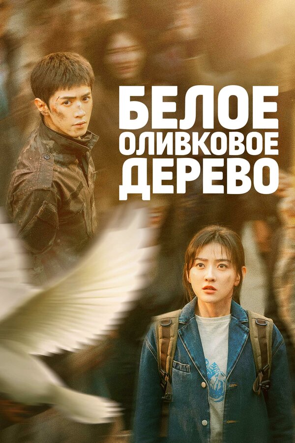 Белое оливковое дерево. Постер